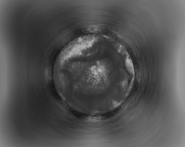 X0000094190606200711161749