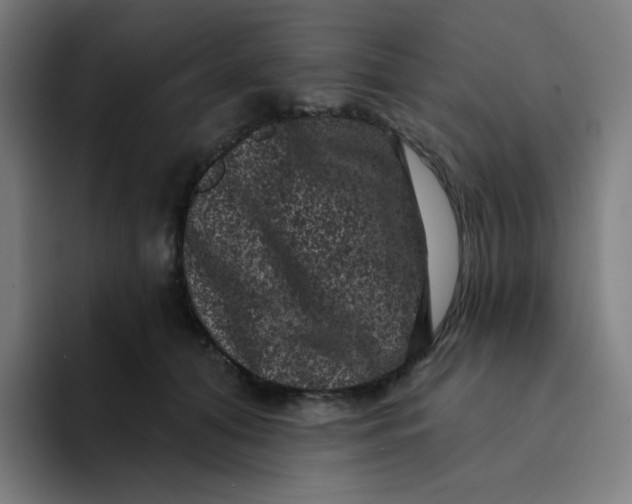 X0000094190608200711161749