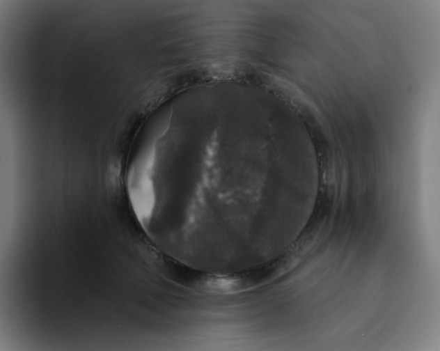 X0000094190610200711161749