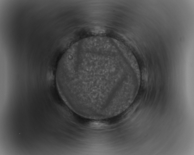 X0000094190614200711161749