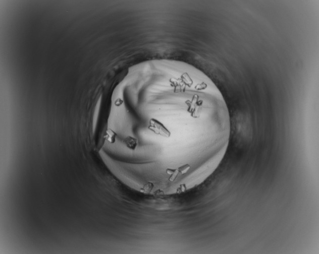 X0000094190615200711161749