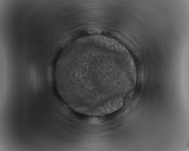 X0000094190616200711161749