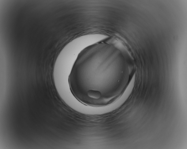 X0000094190617200711161749