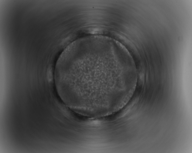 X0000094190620200711161749