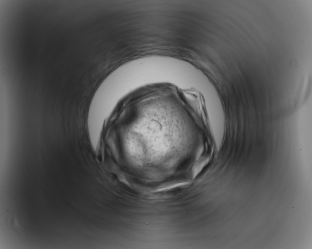 X0000094190621200711161749