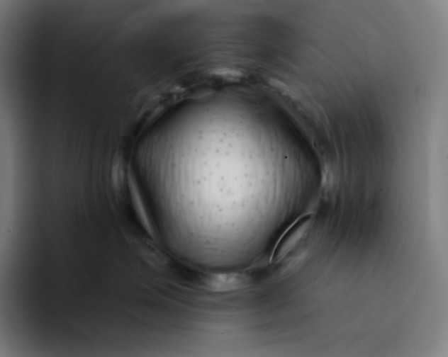 X0000094190623200711161749