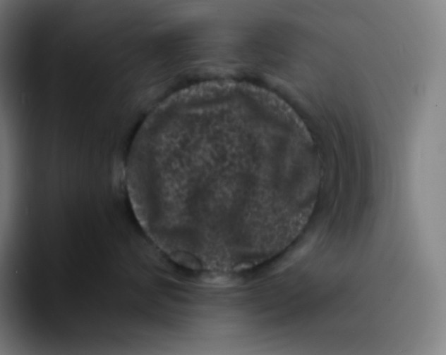 X0000094190624200711161749