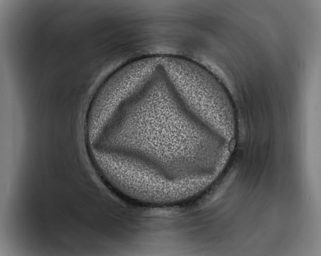 X0000094190625200711161748