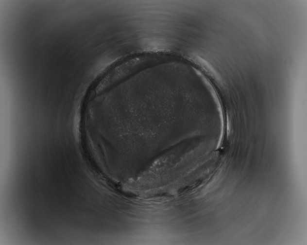 X0000094190627200711161748