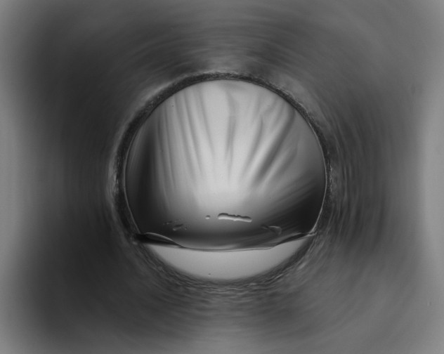 X0000094190628200711161748