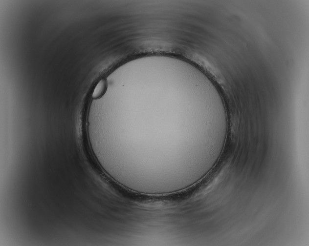 X0000094190629200711161748