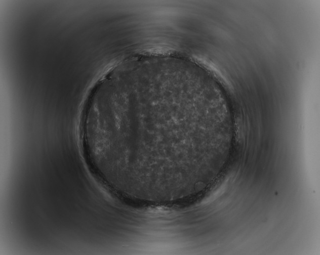 X0000094190634200711161749