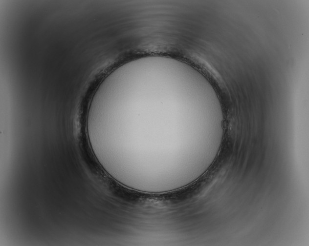 X0000094190635200711161749