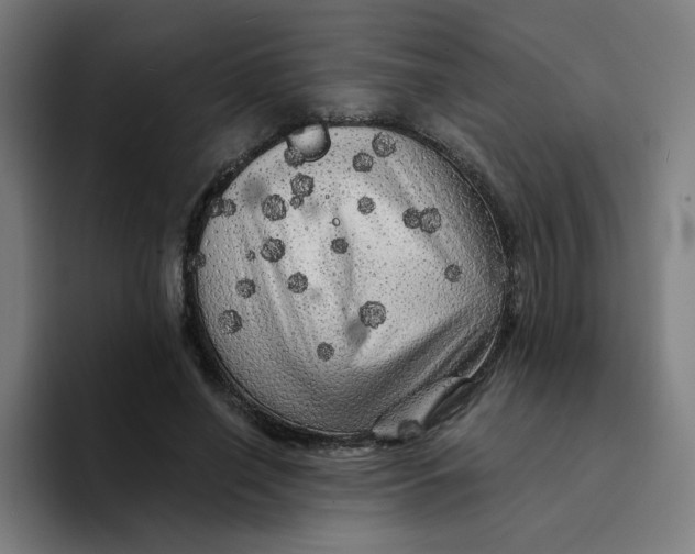 X0000094190638200711161749