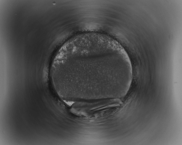 X0000094190640200711161749