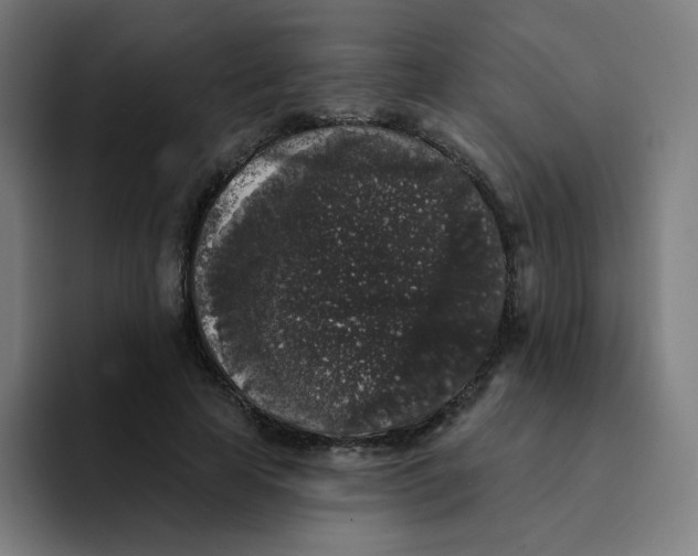 X0000094190641200711161749