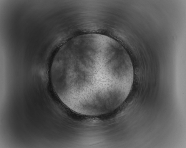 X0000094190642200711161749