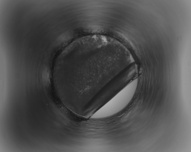 X0000094190643200711161749