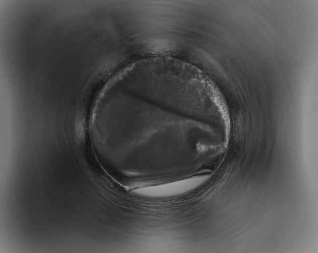 X0000094190644200711161749