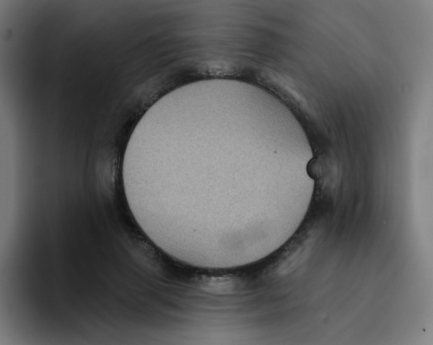 X0000094190645200711161749