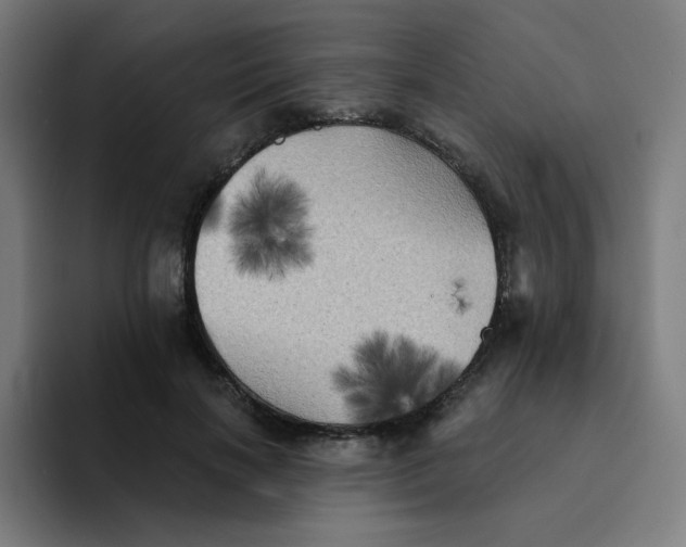 X0000094190646200711161749