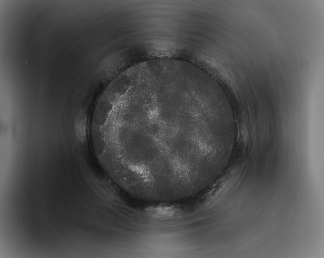 X0000094190647200711161749