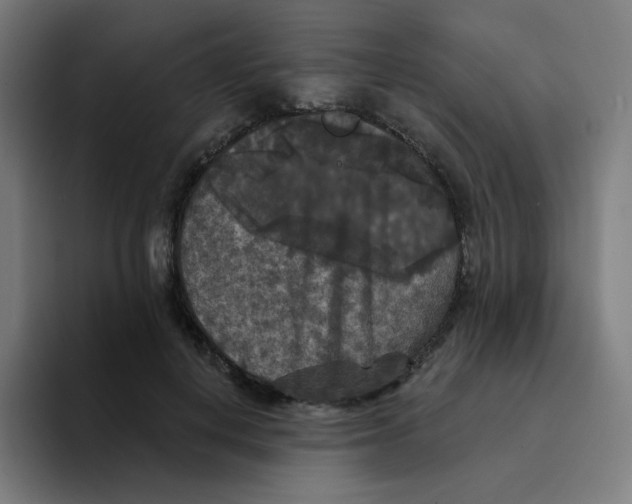 X0000094190648200711161749