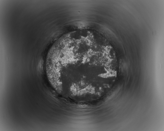 X0000094190650200711161749