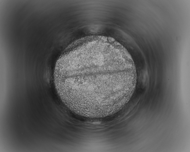 X0000094190651200711161749