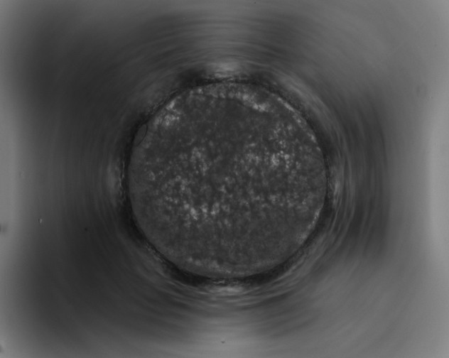 X0000094190653200711161749