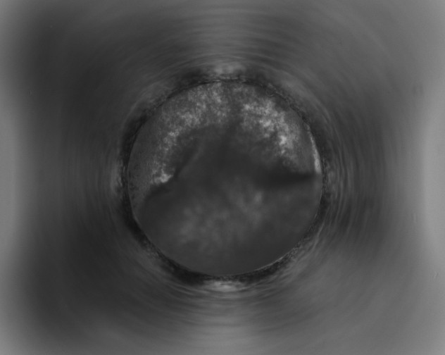 X0000094190654200711161749