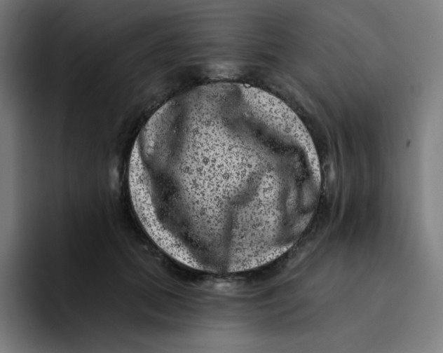 X0000094190655200711161749