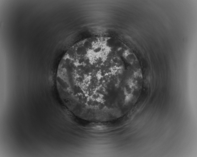 X0000094190658200711161749