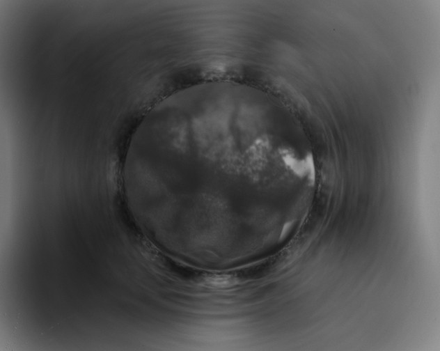 X0000094190659200711161749