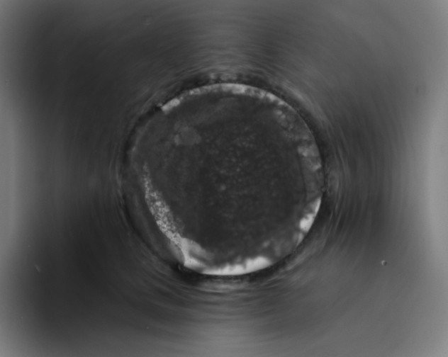 X0000094190661200711161749