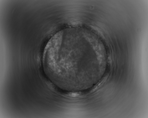 X0000094190662200711161749