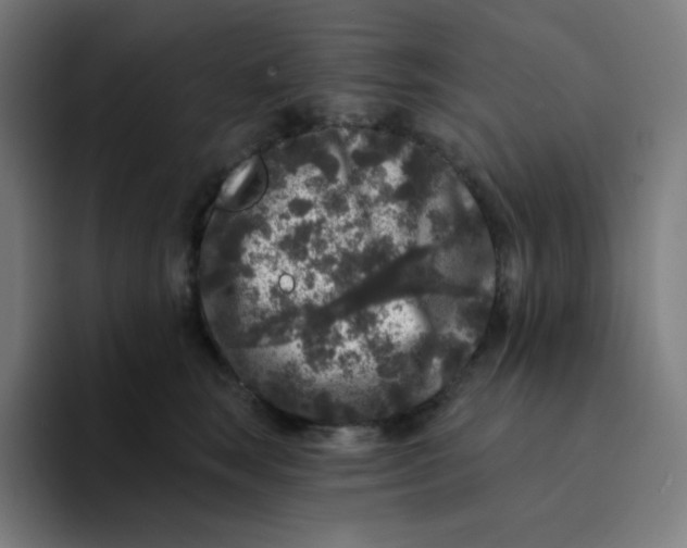 X0000094190663200711161749