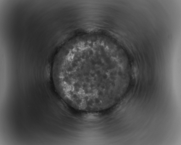 X0000094190664200711161749