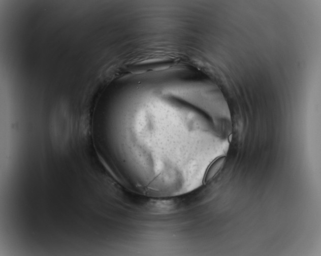 X0000094190665200711161749