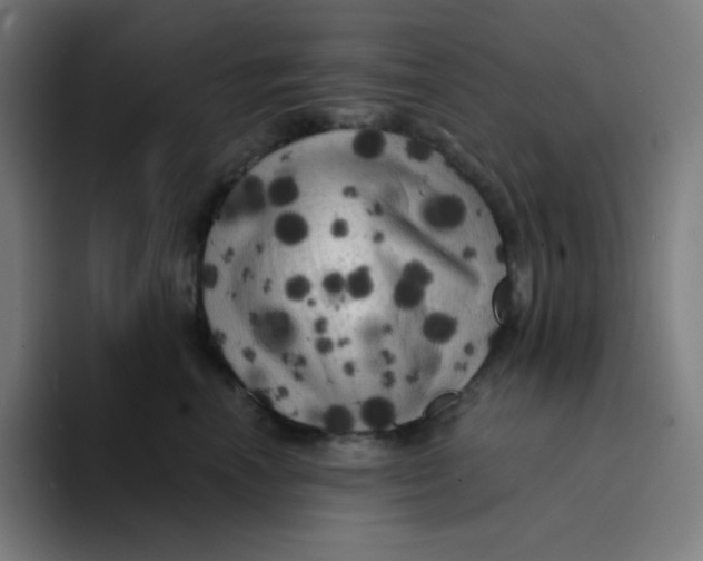 X0000094190666200711161749