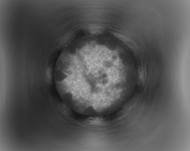 X0000094190667200711161749