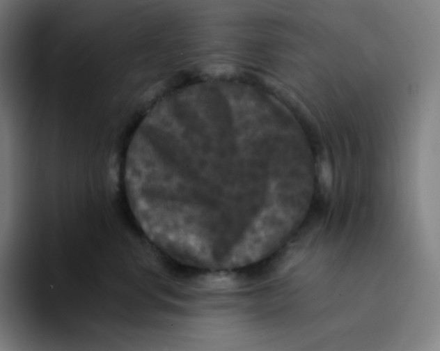 X0000094190668200711161749