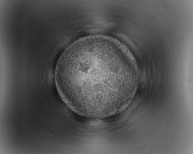 X0000094190669200711161749