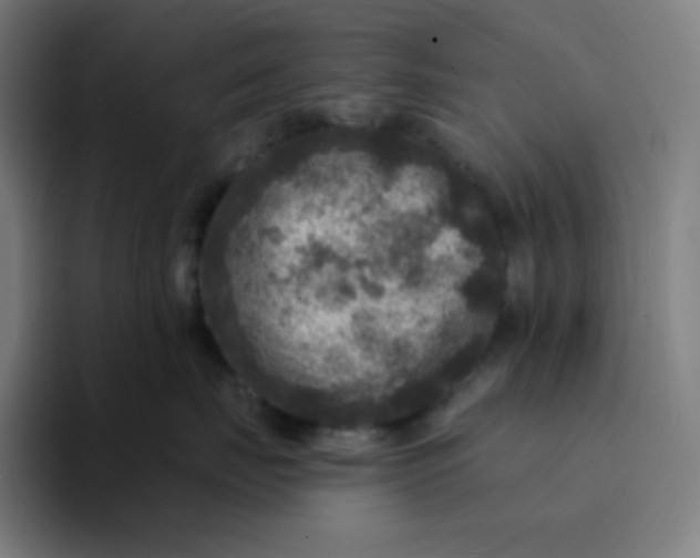 X0000094190671200711161749