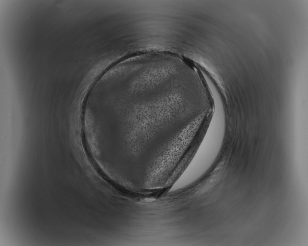 X0000094190673200711161748