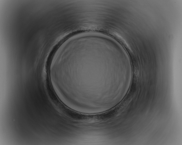 X0000094190674200711161748