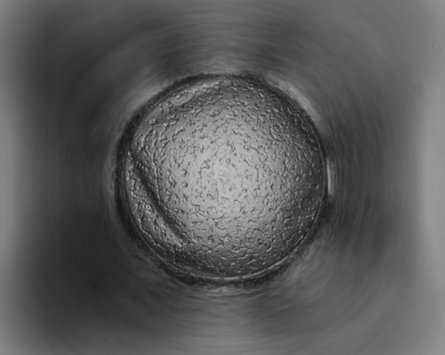 X0000094190675200711161748