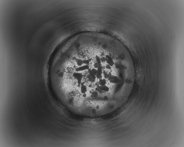 X0000094190679200711161748