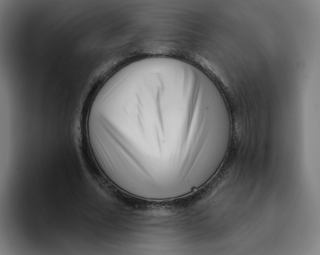 X0000094190682200711161748