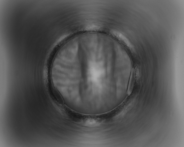 X0000094190684200711161748